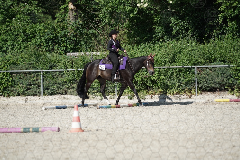 s_APF06780.jpg